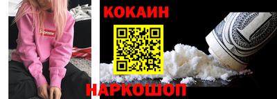 индика Кингисепп