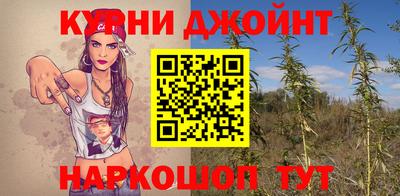 наркотики Камышлов
