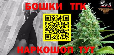 спиды Канаш