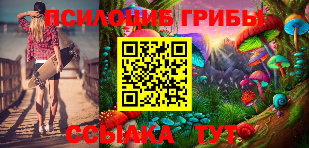 Галлюциногенные грибы Psilocybe  Вход с VPN  Кувандык  Псилоцибиновые грибы Psilocybe 